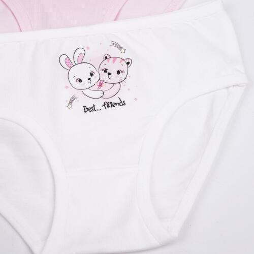 Toptan Bebişko Kız 3'lü Slip - 3