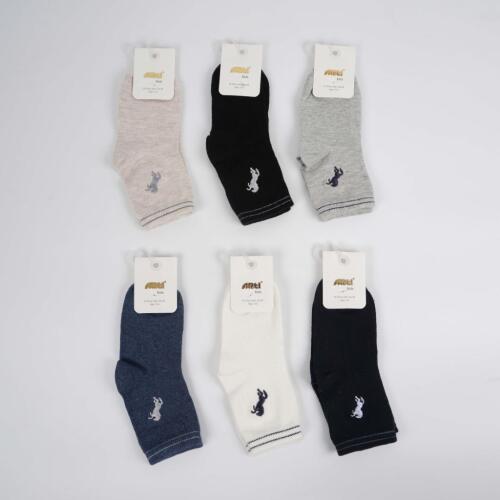 Toptan Benjamin Erkek Çocuk Soket Çorap - 1