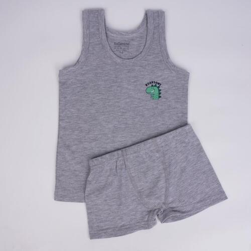 Toptan Dinozor Erkek Atlet Boxer Takım - 2