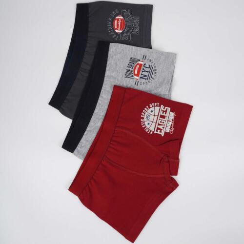 Toptan Division Erkek 2'li Atlet Boxer Set - 2