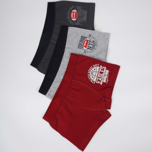 Toptan Division Erkek 2'li Atlet Boxer Set - 2