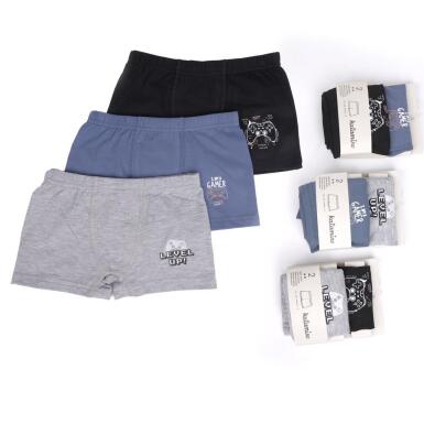 Toptan Level Erkek 2'li Boxer - KATAMİNO (1)