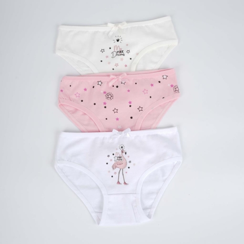 Toptan Pinerams 3'lü Kız Slip Set - 2