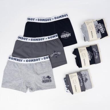 Toptan Rodeo 2'li Erkek Boxer Çorap - ARTI