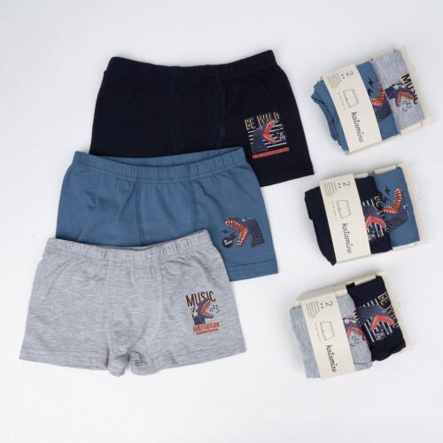 Toptan Winden 2'li Erkek Boxer - 1