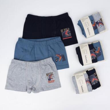 Toptan Winden 2'li Erkek Boxer - ARTI